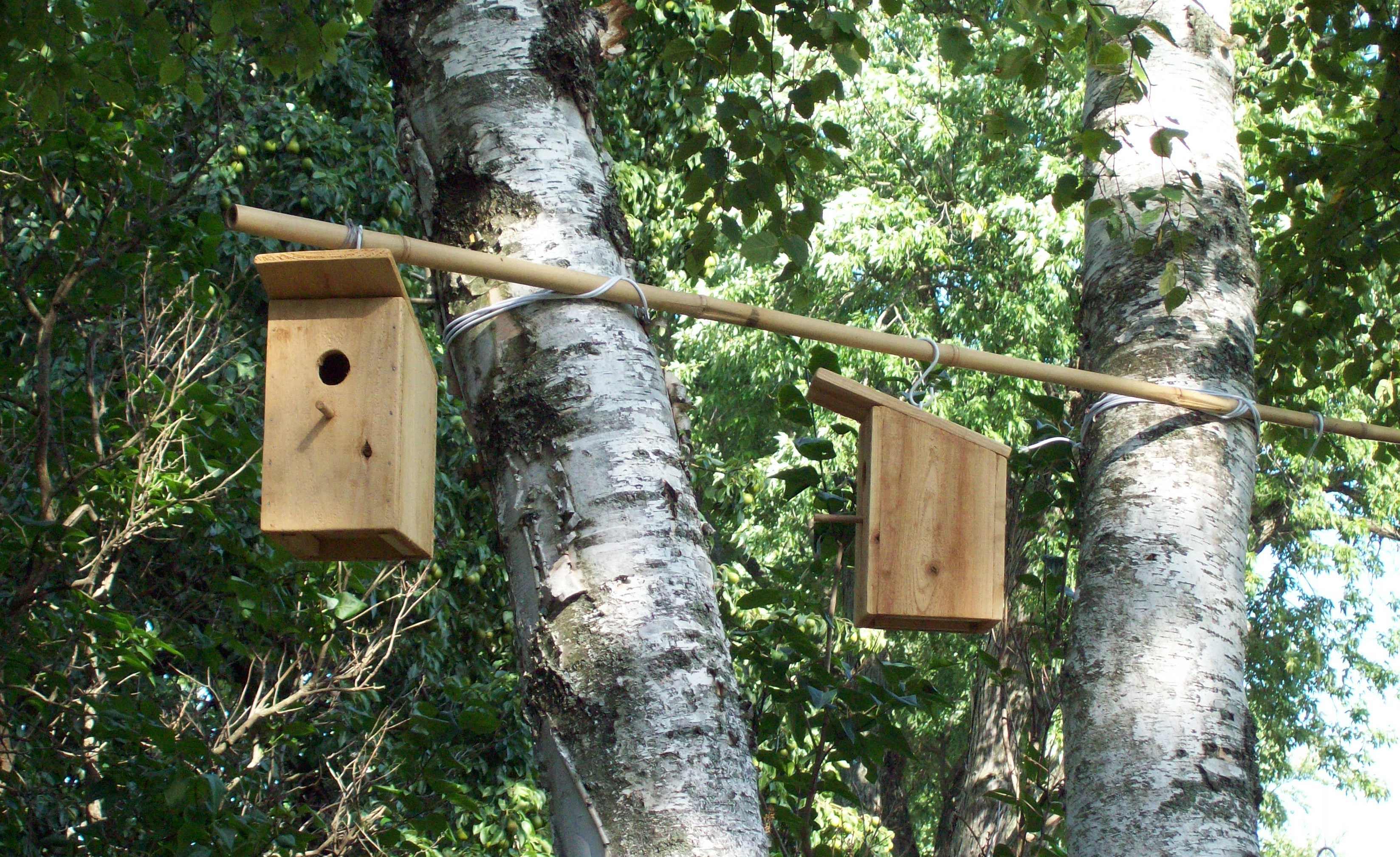 April 2001 Wisconsin bluebird house plans wisconsin Natural Resources.